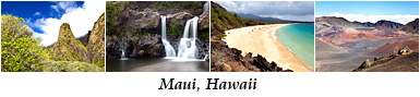 Lightbox_Maui